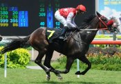 Art Of Speed<br>Photo by Singapore Turf Club